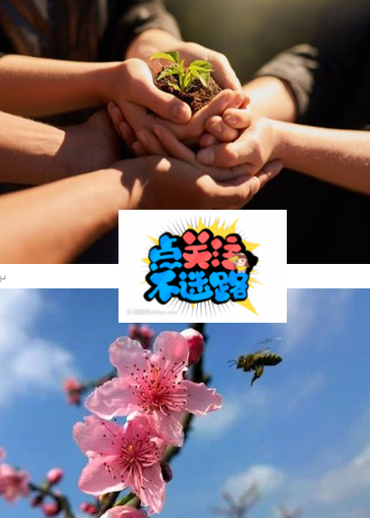 ffd1c49bfdac47eac2cae708d3df0142.png